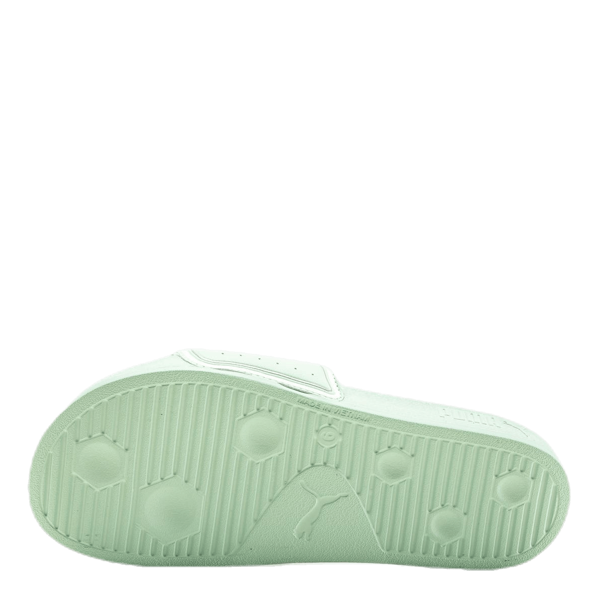 Leadcat FTR White/Green