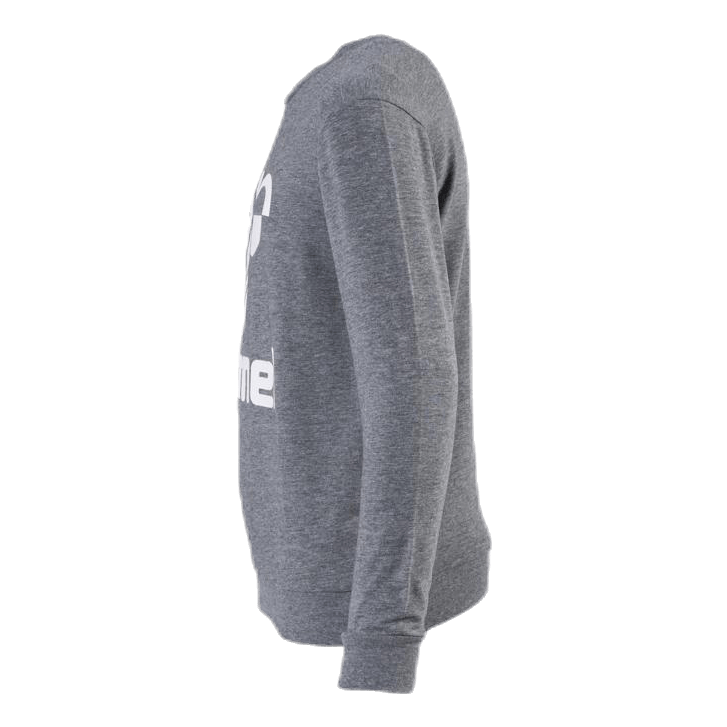 Dos Sweatshirt Youth Grey