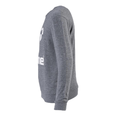 Dos Sweatshirt Youth Grey