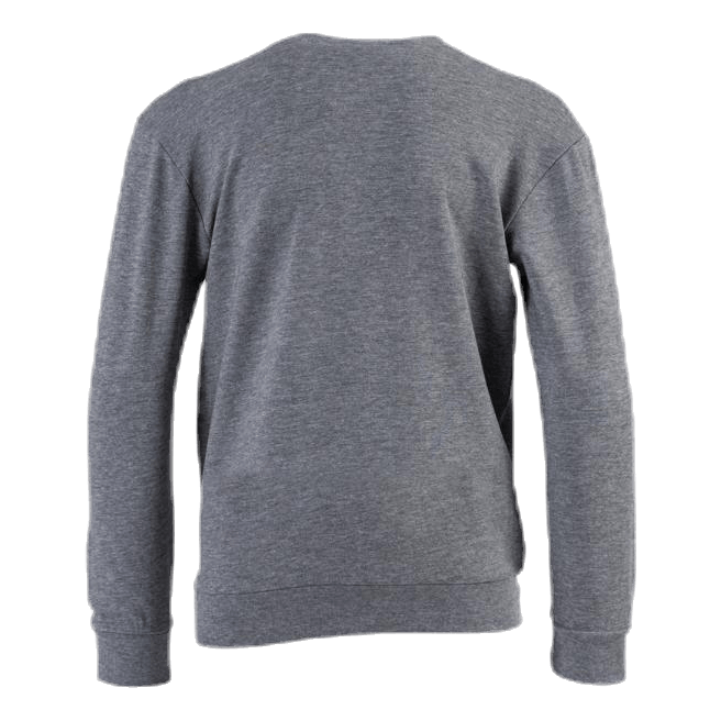 Dos Sweatshirt Youth Grey