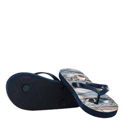 Zeppo Flipflops Grey