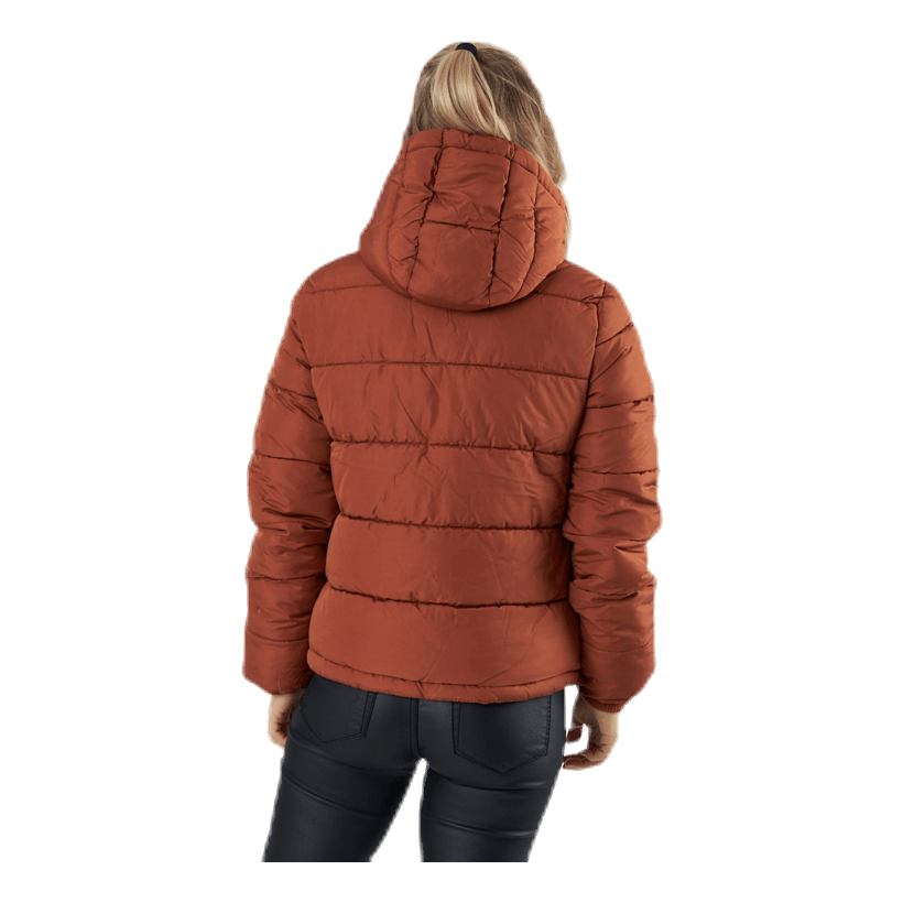 Bee Short Padded Jacket Brown