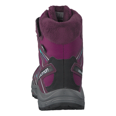 Xa Pro 3d Winter Ts Cswp J Darkpurple/potentpurple/atlant