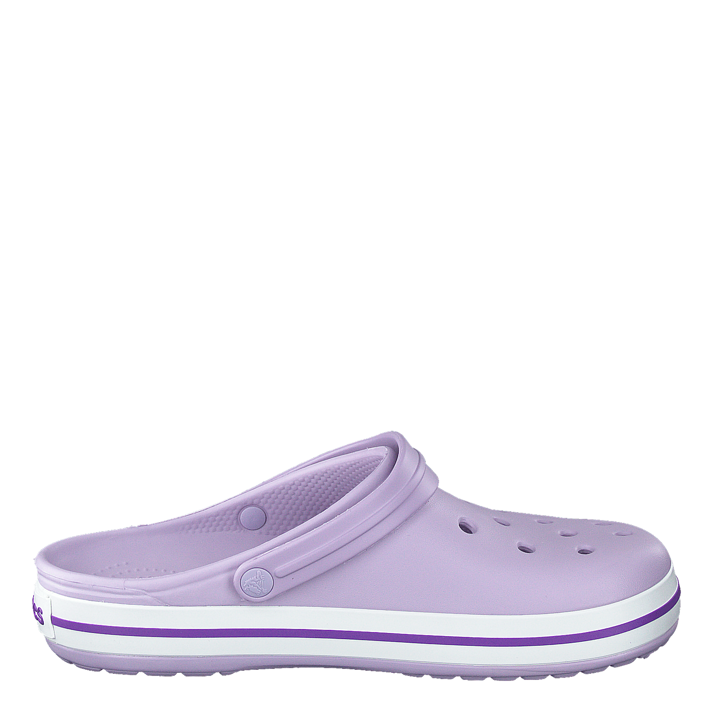 Crocband Lavender/Purple