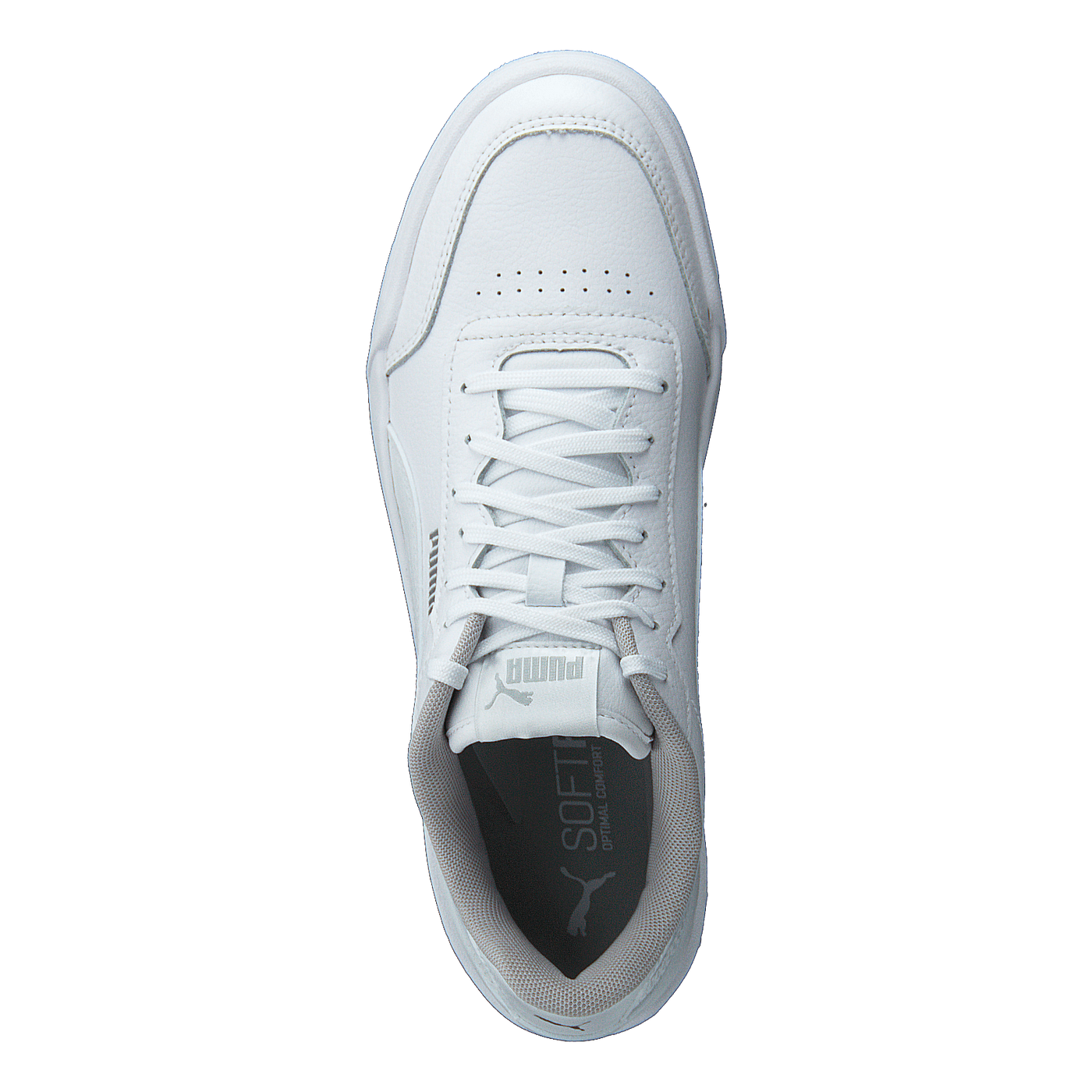 Caracal Jr Puma White-puma Silver