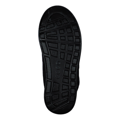 Urban Snowboarder Black/poseidon