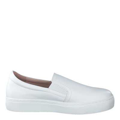 Starlily Plane White