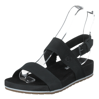 Malibu Waves 2 Band Sandal Black