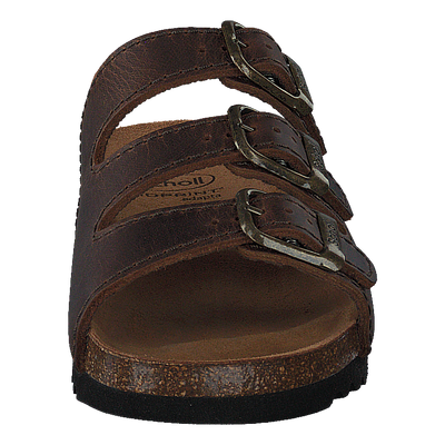 Rio Dk Brown