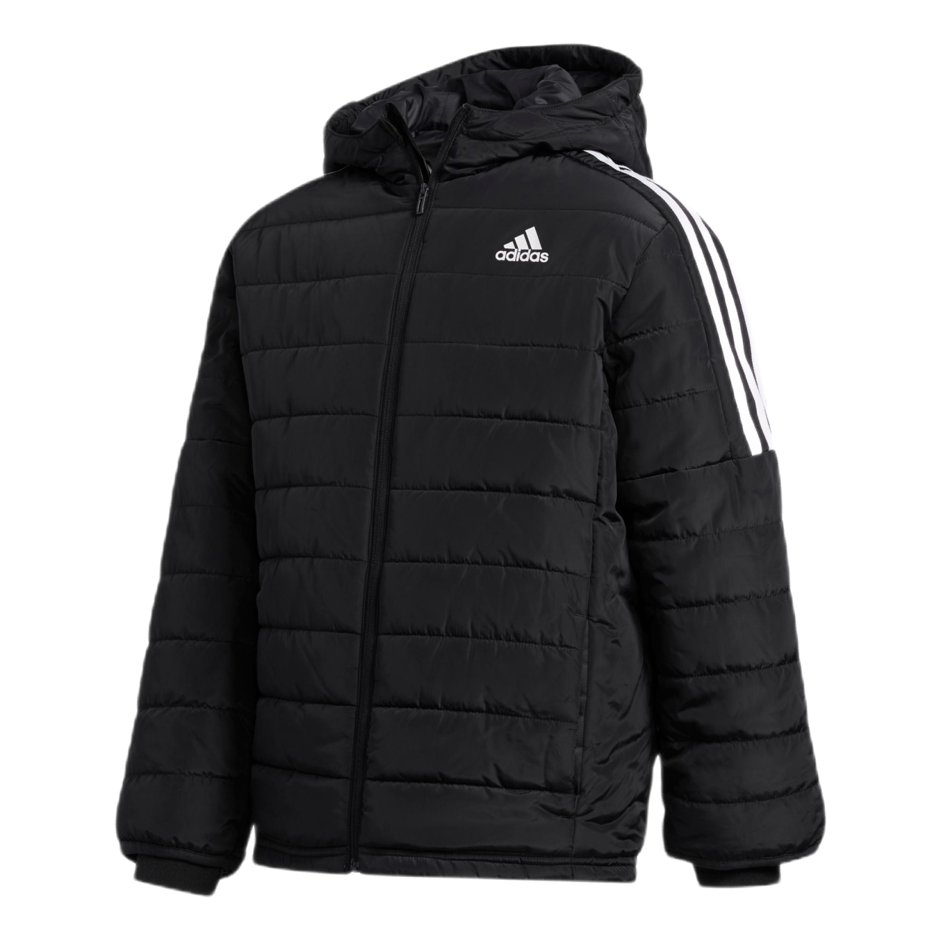 Boys Puffer Jkt Black