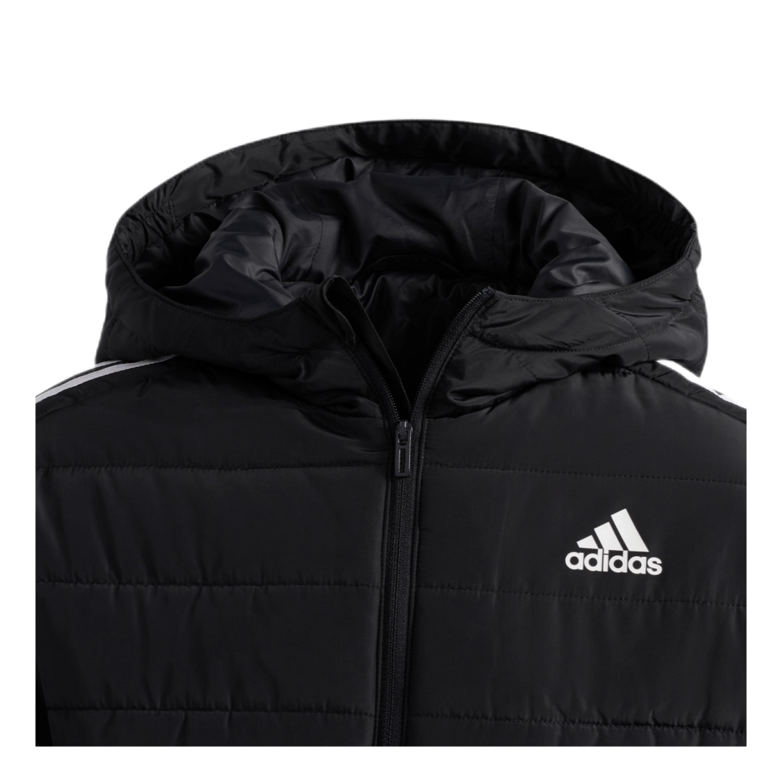 Boys Puffer Jkt Black