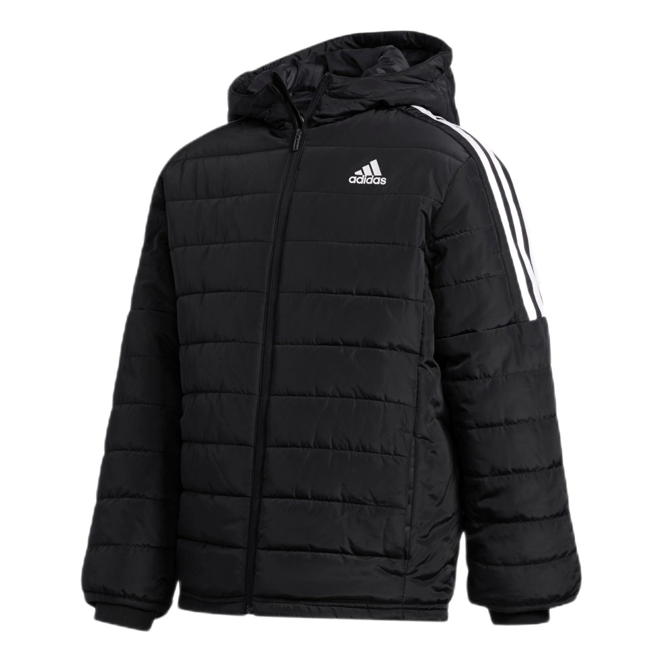 Boys Puffer Jkt Black