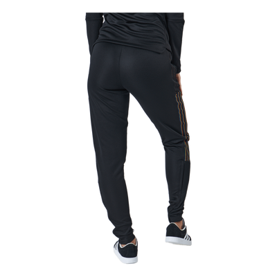 Tirotrack Pant Pride Womens Black