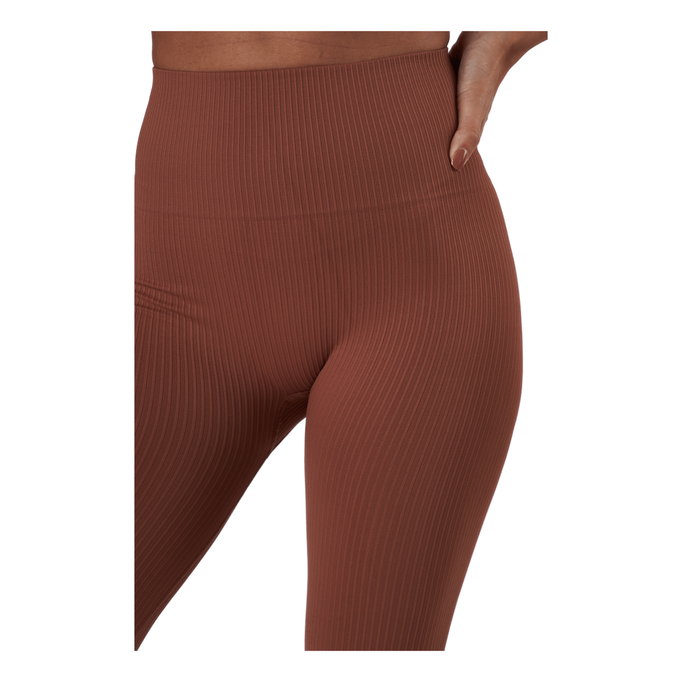 Seamless Rib Tights Copper Brown