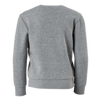 Crewneck Sweatshirt Gray Melange Light