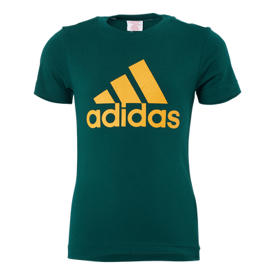 Adidas Boys Essentials Big Logo Tee Collegiate Green / Semi Solar Gold