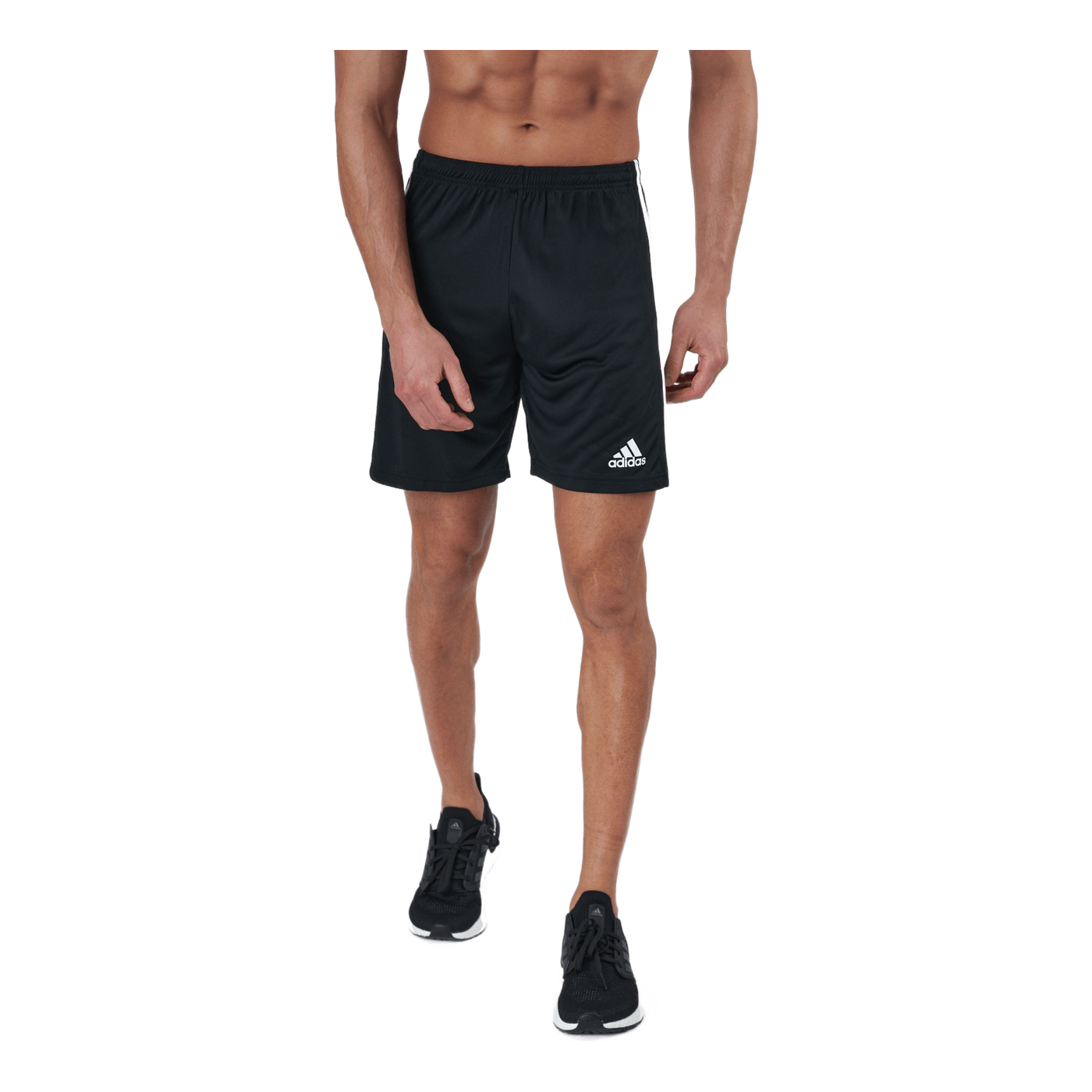 Squadra 21 Shorts Black