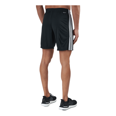 Squadra 21 Shorts Black