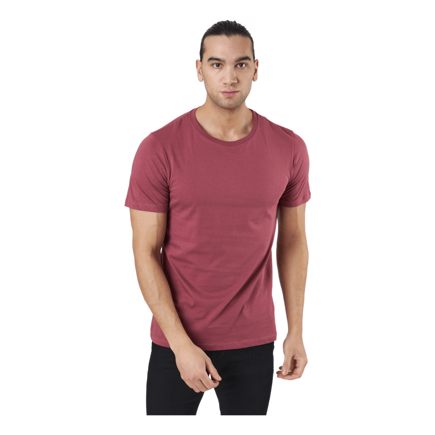 Jjeorganic Basic Tee Ss O-neck Hawthorn Rose