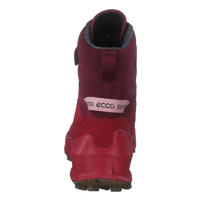 Ecco Biom K2 Multicolor Chili Red Morillo