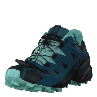 Speedcross 5 Gtx W Black/mallard Blue/yucca