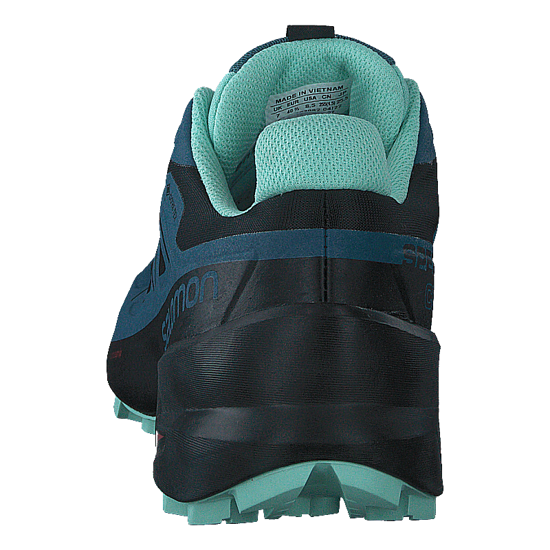 Speedcross 5 Gtx W Black/mallard Blue/yucca