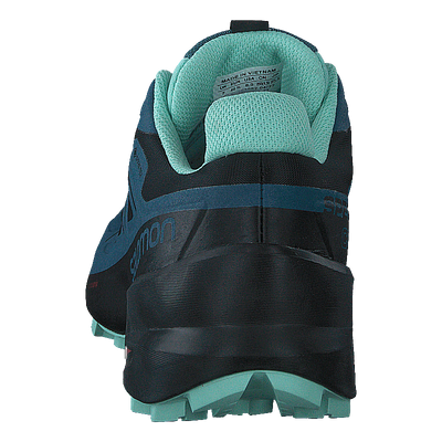 Speedcross 5 Gtx W Black/mallard Blue/yucca