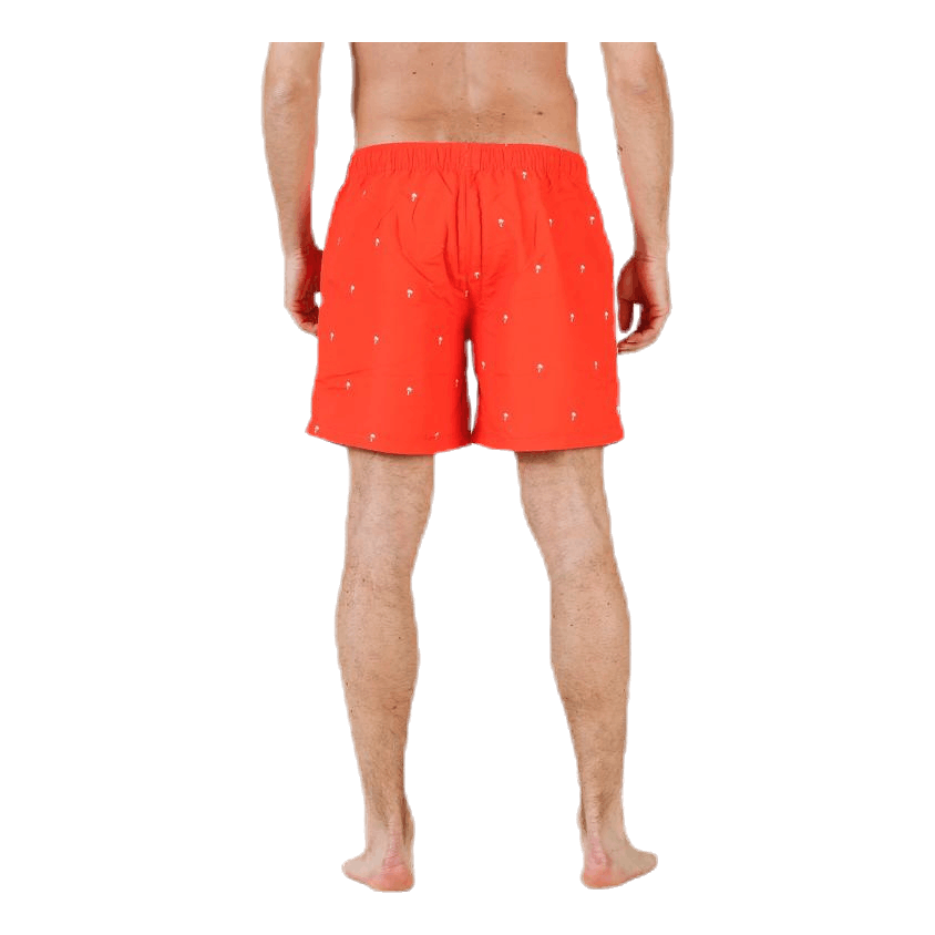 Scale Shorts Red