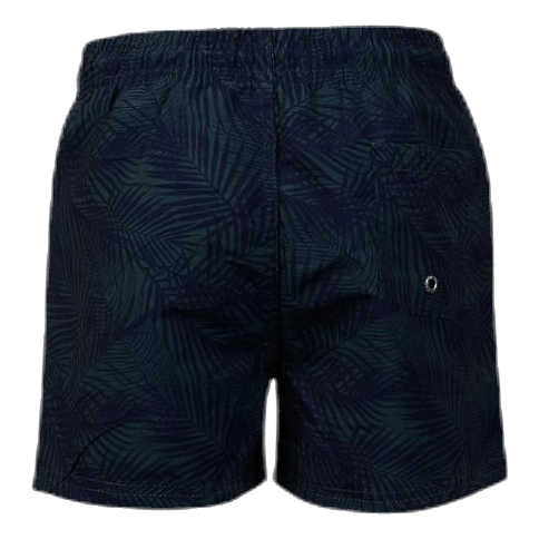 Junior Luca Swim Shorts Blue/Green