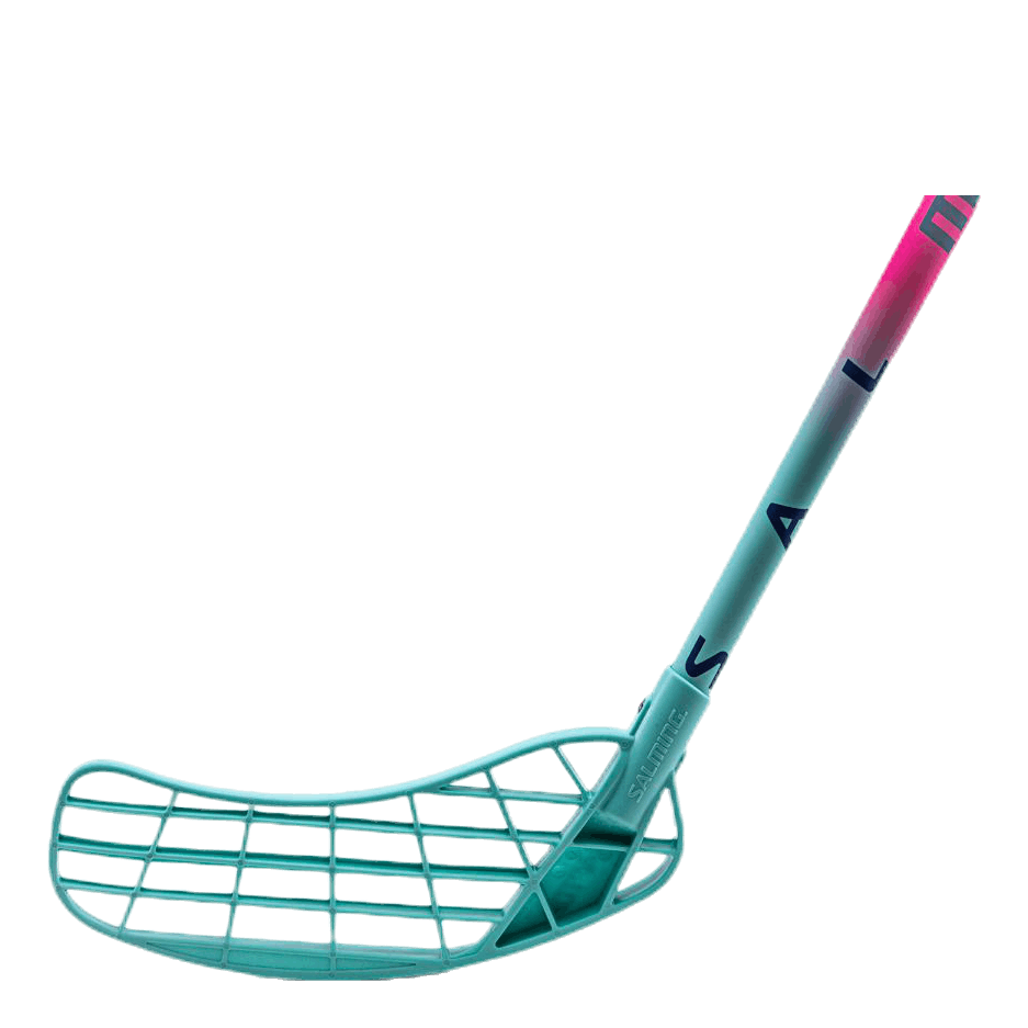 Raptor Powerlite Aero Flex 29 Pink/Blue