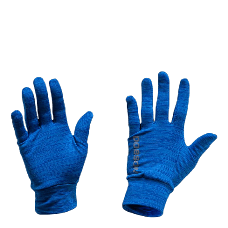 Gloves W16 Blue