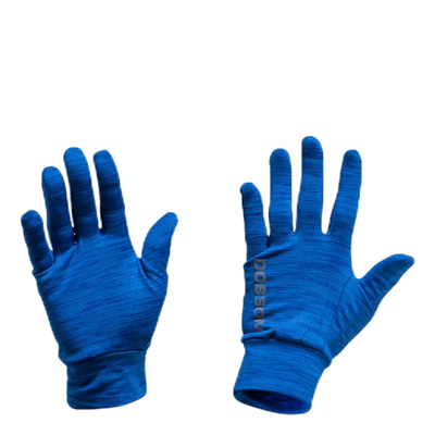 Gloves W16 Blue