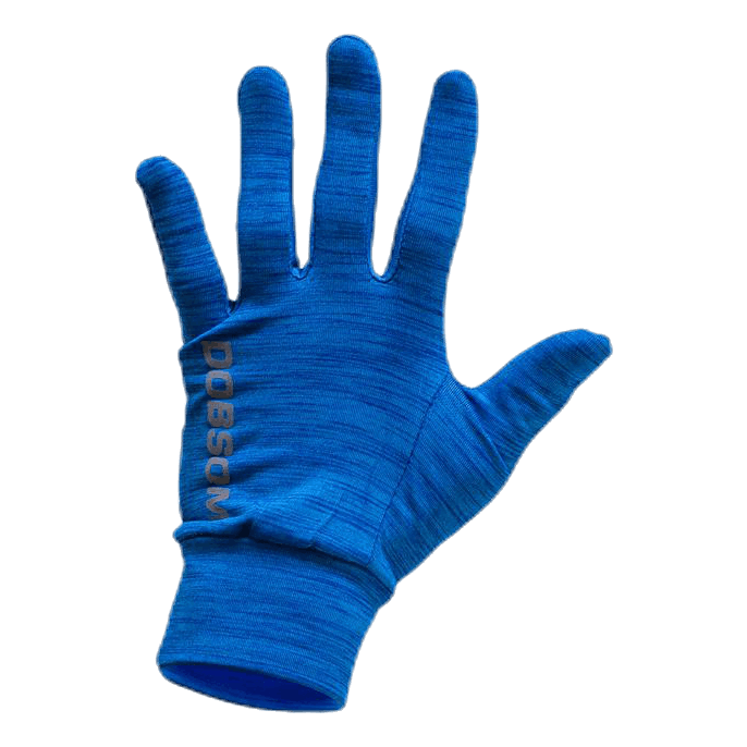 Gloves W16 Blue