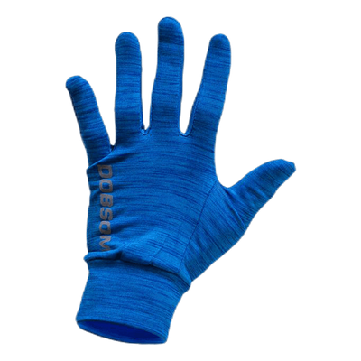 Gloves W16 Blue