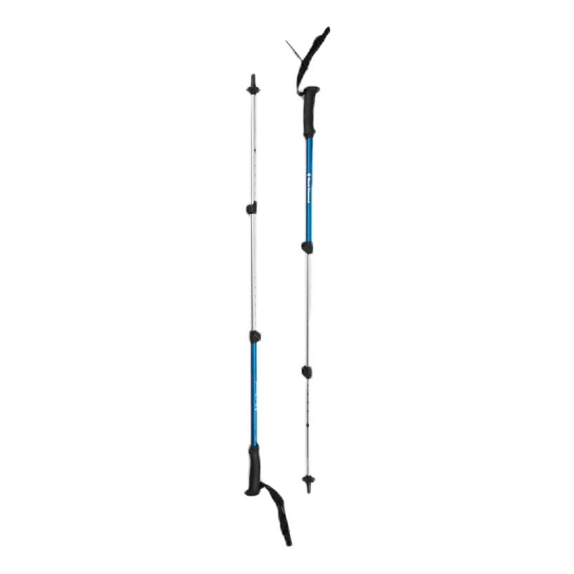 Trail Explorer Trek Poles Blue