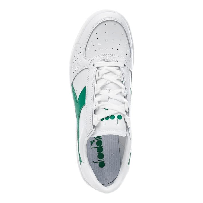 B.Elite White/Green