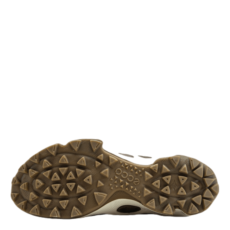 Biom C-Trail  Low HM Brown