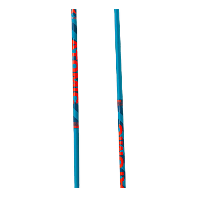 Amt Ski Pole Blue