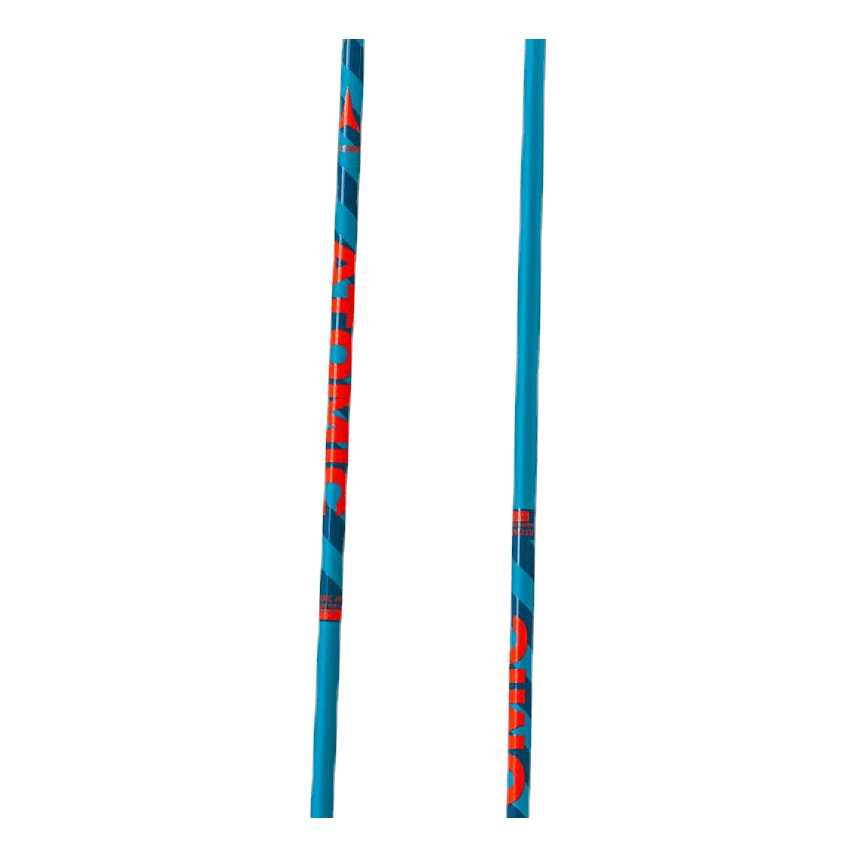 Amt Ski Pole Blue