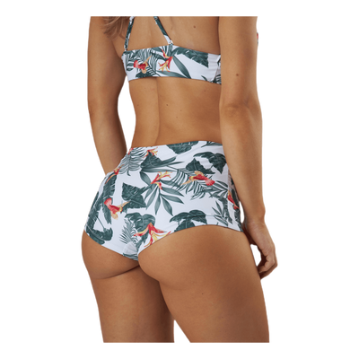 Alayne Boxer Green