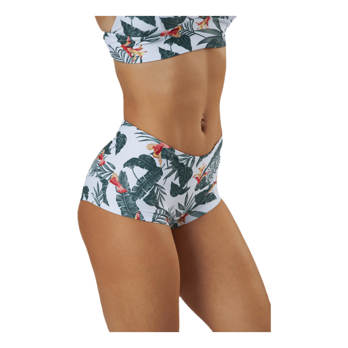 Alayne Boxer Green