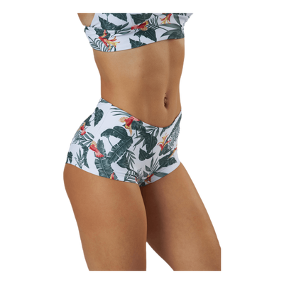 Alayne Boxer Green