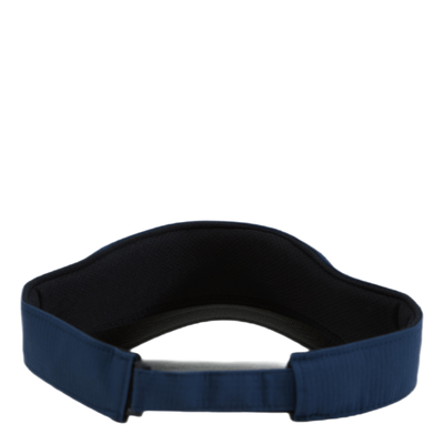 TM21 Radar Visor Blue