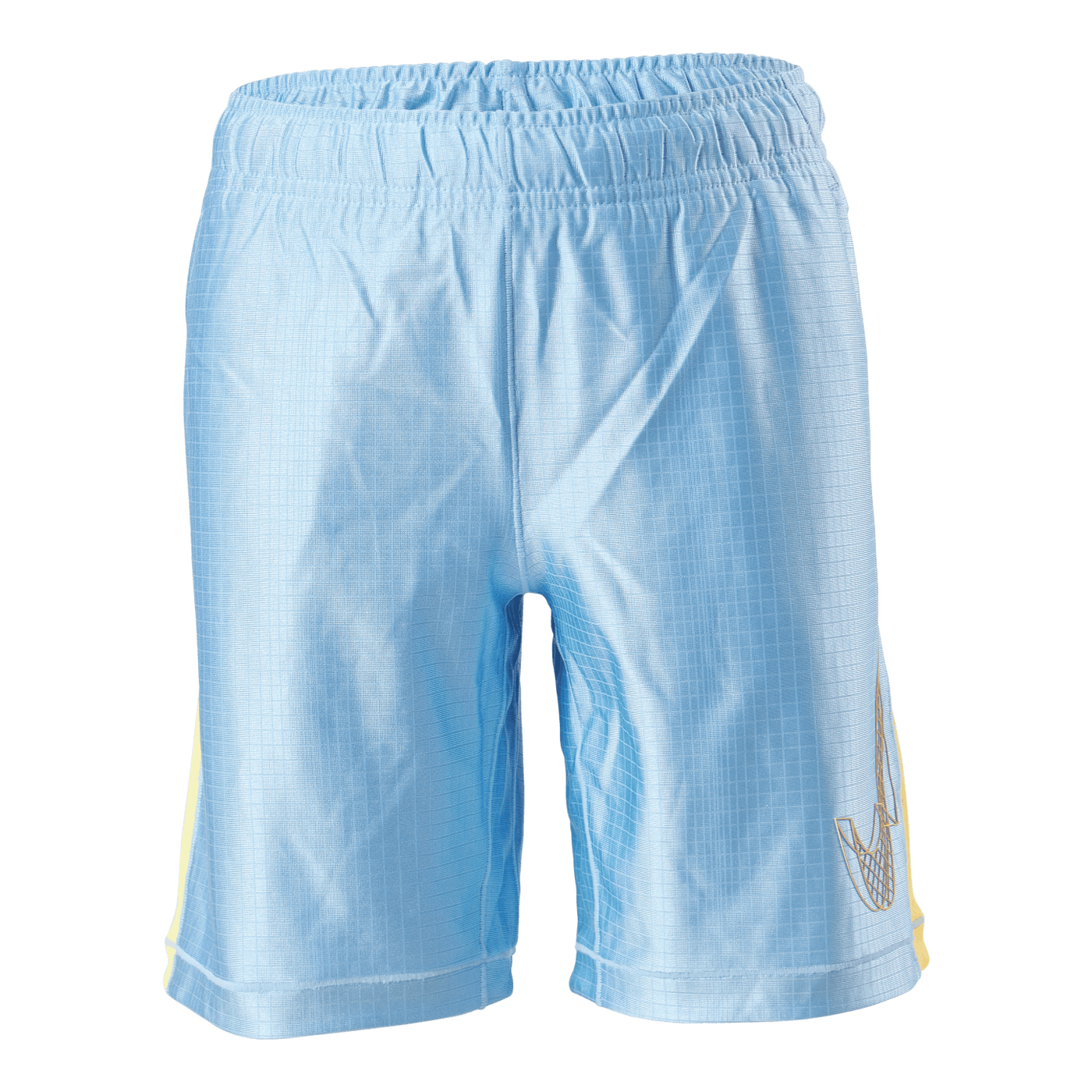 Jr Dri-Fit Graphic Shorts Blue