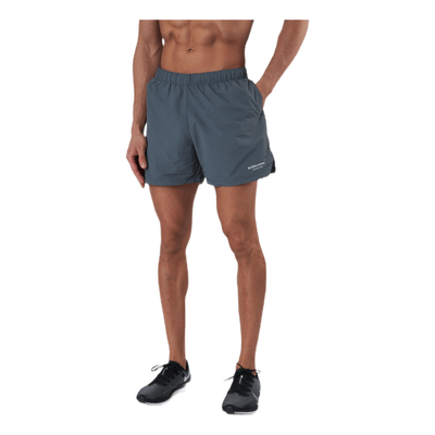 Sthlm Training Shorts Grey