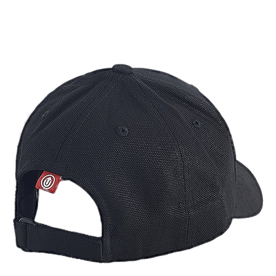 Lab Baseball Cap